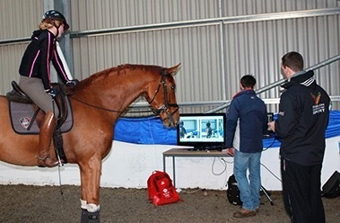 障碍赛马运动分析系统的图片