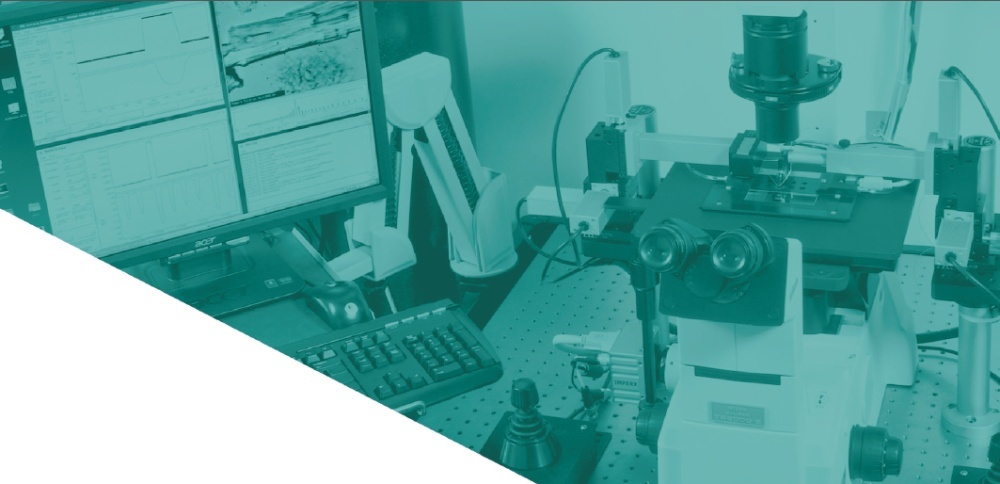 Aurora透性心肌细胞测试系统1600A的图片