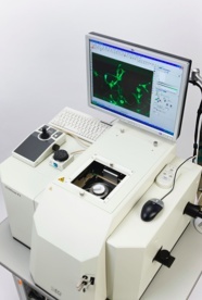 细胞趋化的图片