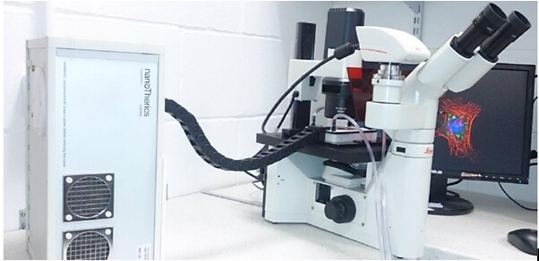 活细胞实时电磁场暴露延时成像系统的图片