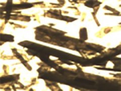 硫酸钙晶须的图片