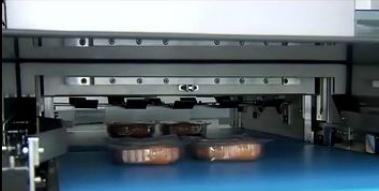 WITT密封仪的图片