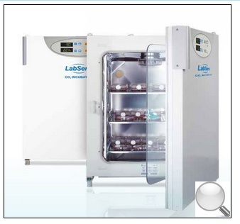 Thermo Fisher Labserv CO2培养箱的图片