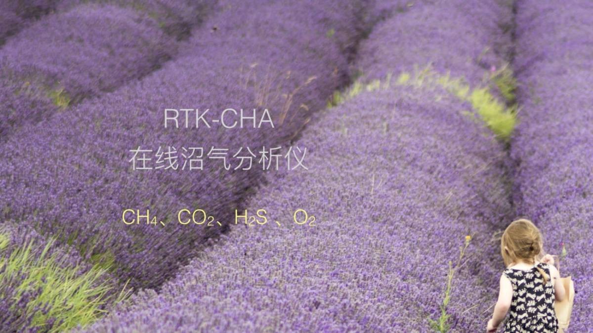 在线沼气分析仪的图片