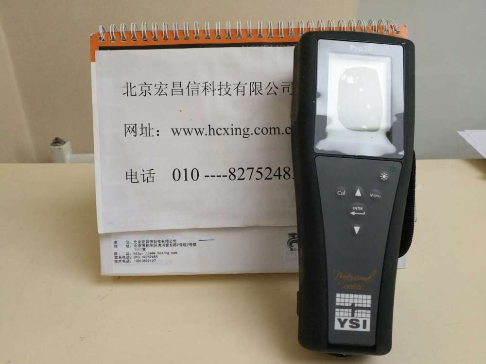 YSI Pro20溶解氧测量仪的图片
