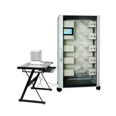 端部落丝的图片