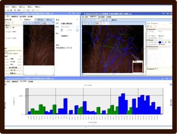 Data Service根系数据服务的图片