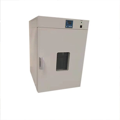 强制对流，250度电热恒温鼓风干燥箱的图片