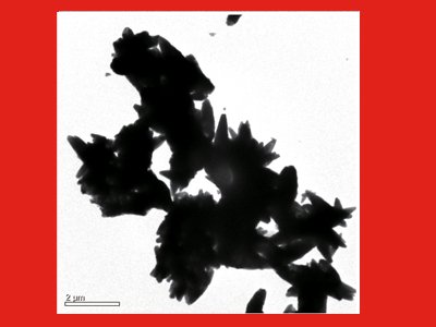 工业级轻质碳酸钙YX-501的图片