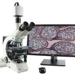 TrueChrome彩色相机的图片