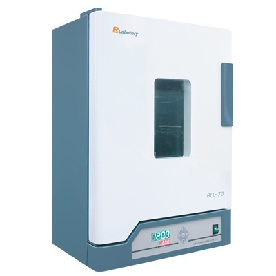 鼓风干燥箱GFL-125的图片