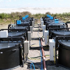 水生态模拟系统(-4H-Benthocosms)的图片