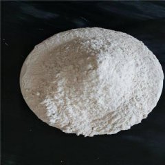 LX-50PVC专用沉淀碳酸钙的图片