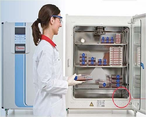 二手ThermoCO2培养箱150i的图片