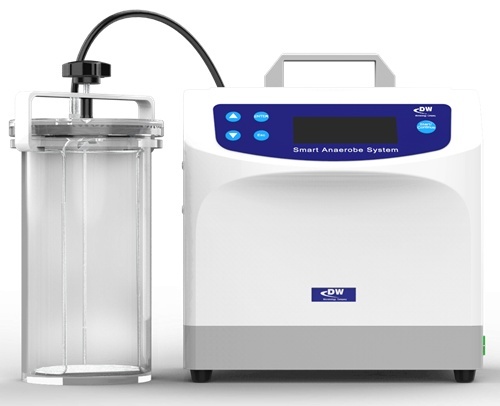 DW-100A-K型智能厌氧微生物培养系统/厌氧工作站的图片