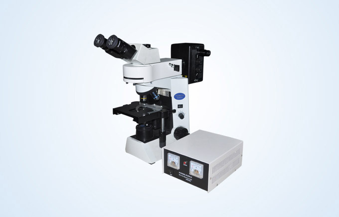 荧光显微镜MF41的图片