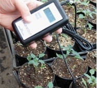 SM100土壤水分测量仪的图片