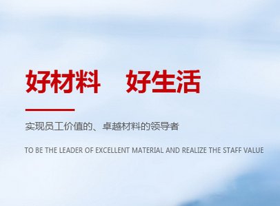 祝贺！国瓷材料入选山东2020民营企业品牌价值100强