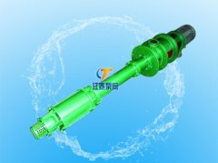 DLY立式液下多级泵的图片