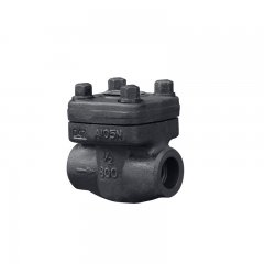 内螺纹与承插焊止回阀的图片