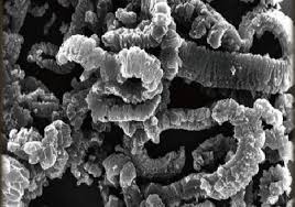 膨胀石墨的图片