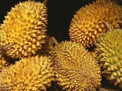 和你媳妇说不能再跪榴莲了，它有大用途！科学家：榴莲可以做成电池