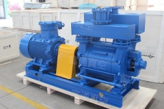 2FE1水环真空泵/压缩机的图片