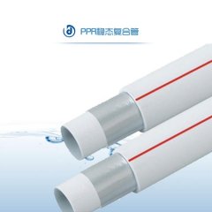 稳态复合管(dn20-dn63)的图片