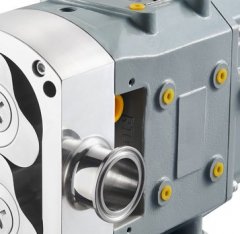 RT系列转子泵的图片