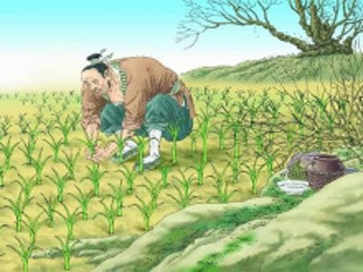 早知“钾长石”  何至“揠苗助长”