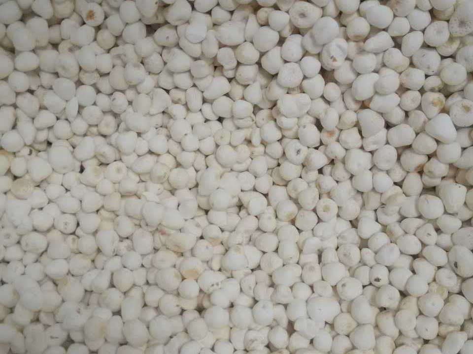 色选机|食品|再生料|矿石|履带色选机 色选机|食品|再生料|矿石|履带色选机