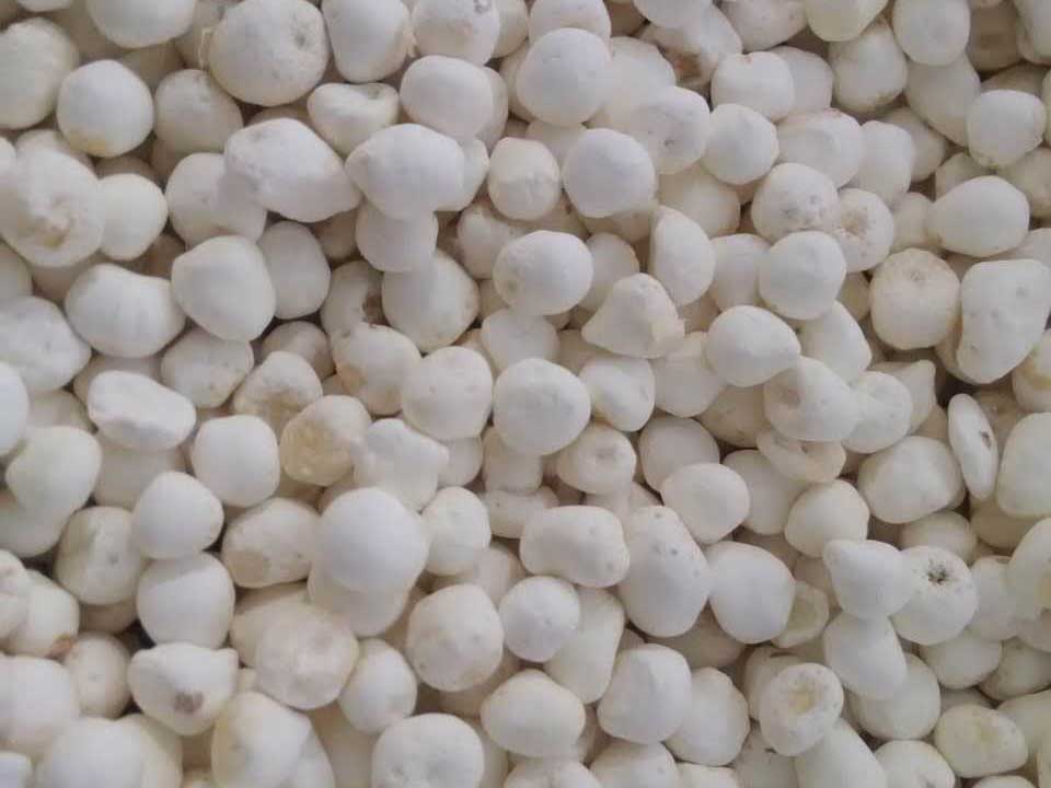 色选机|食品|再生料|矿石|履带色选机 色选机|食品|再生料|矿石|履带色选机