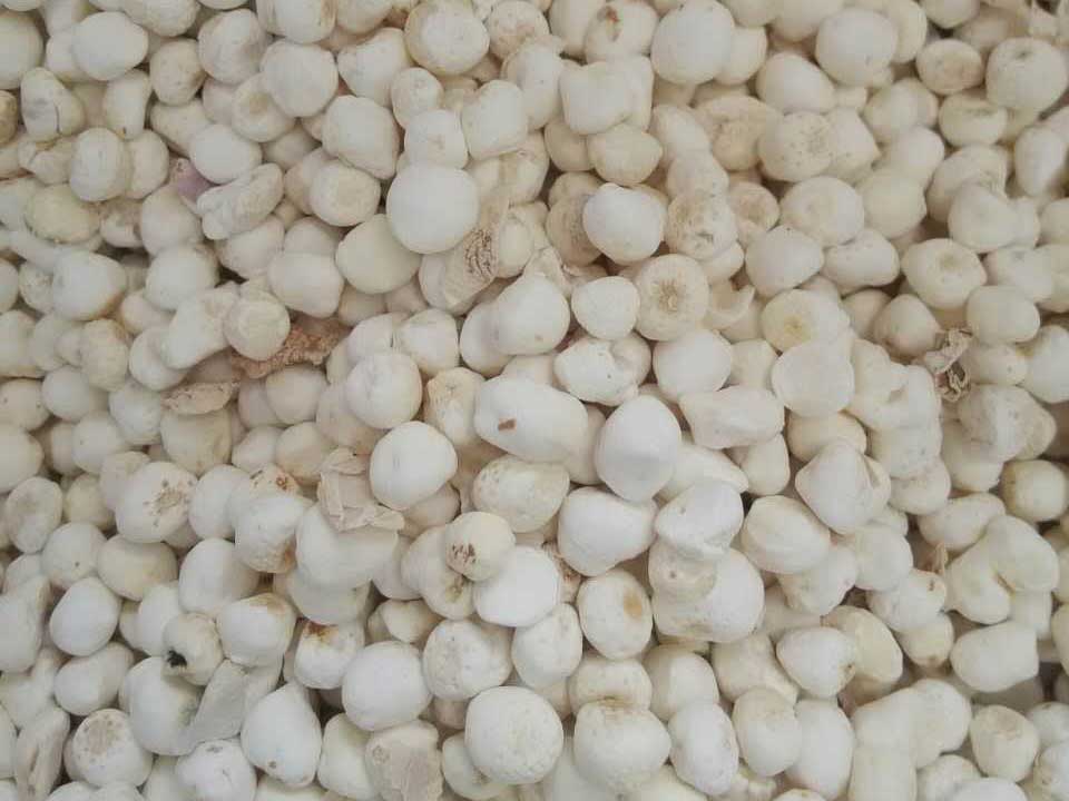 色选机|食品|再生料|矿石|履带色选机 色选机|食品|再生料|矿石|履带色选机