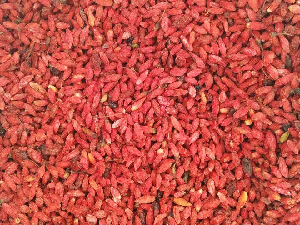 色选机|食品|再生料|矿石|履带色选机 色选机|食品|再生料|矿石|履带色选机