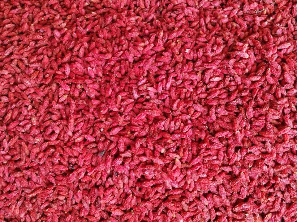 色选机|食品|再生料|矿石|履带色选机 色选机|食品|再生料|矿石|履带色选机