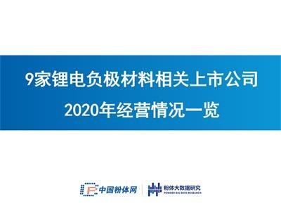 9家锂电负极材料相关上市公司2020年经营情况一览