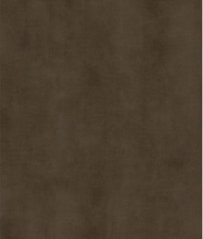 棕啡水泥的图片