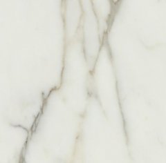 鱼肚金（1200） Calacatta Oro的图片