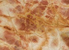 峥嵘岁月的图片