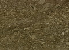 银色梦幻的图片