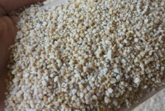 草坪石英砂在手中s-12-2的图片