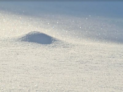 【直播预告】纳米流体的制备及性能研究