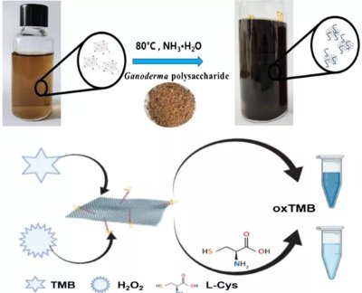 一文了解石墨烯基纳米酶及石墨烯基复合材料的制备