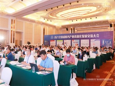 大咖齐聚，群策群力丨“2021全国碳酸钙产业高值化发展交流大会”在安徽隆重开幕！