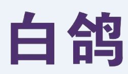 白鸽磨料磨具邀您出席2021新型陶瓷技术与产业高峰论坛