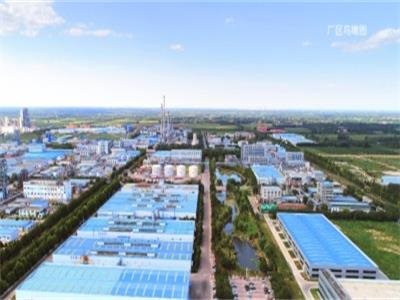 秸秆“变”宝，妙手-圣泉集团今日上市