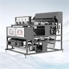 履带色选机的图片