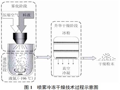 喷雾冷冻干燥技术及其在三大领域的应用现状