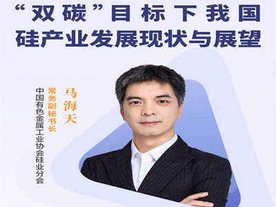 “双碳”目标下我国硅产业发展现状与展望—中国有色金属工业协会硅业分会副秘书长马海天