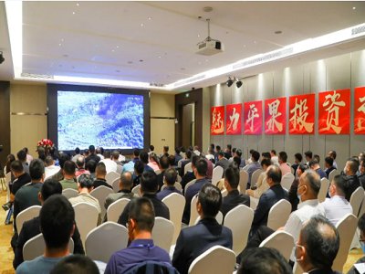 2021年第七届国际碳酸钙产业博览会侧记——平果市碳酸钙推介会之“听说”与“看见”